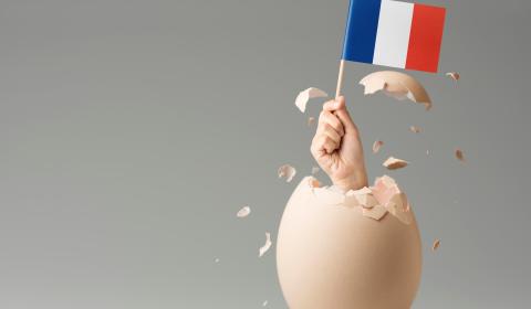 un drapeau français présent dans une coquille d'oeuf