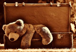 Un ours en peluche brun dans une valise