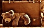 Un ours en peluche brun dans une valise