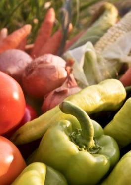Inspection fruits et légumes