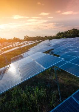 Solaire photovoltaïque : notre offre globale d'accompagnement 