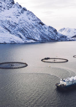 ASC aquaculture durable
