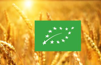 logo Bio eurofeuille sur champ de blé