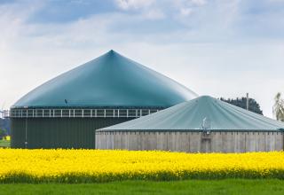 Des unités de méthanisation produisant du biogaz, entourées de champs de colza.